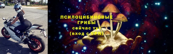 крисы Армянск