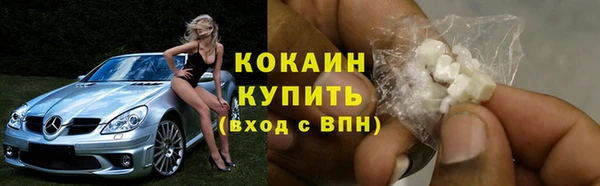 крисы Армянск