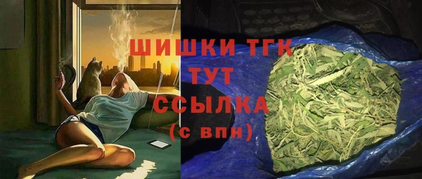 МДПВ Осинники