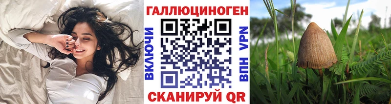 цена   Пугачёв  Псилоцибиновые грибы мицелий 